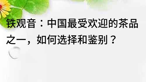 鐵觀音：中國最受歡迎的茶品之一，如何選擇和鑒別？