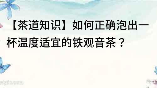 【茶道知識】如何正確泡出一杯溫度適宜的鐵觀音茶？