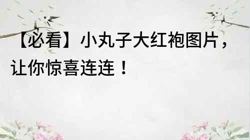 【必看】小丸子大紅袍圖片，讓你驚喜連連！