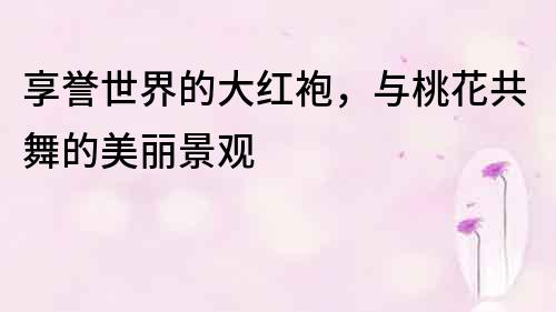 享譽世界的大紅袍，與桃花共舞的美麗景觀