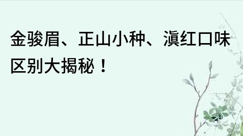 金駿眉、正山小種、滇紅口味區別大揭秘！