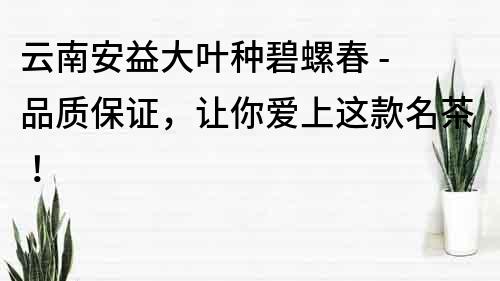 云南安益大葉種碧螺春 - 品質保證，讓你愛上這款名茶！