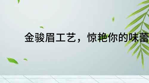 金駿眉工藝，驚艷你的味蕾！