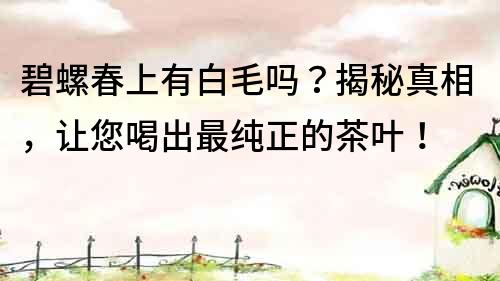 碧螺春上有白毛嗎？揭秘真相，讓您喝出最純正的茶葉！