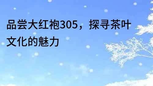 品嘗大紅袍305，探尋茶葉文化的魅力