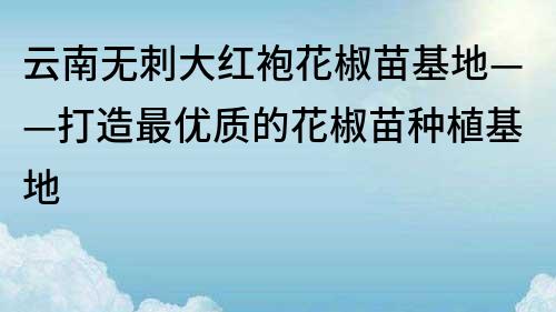 云南無刺大紅袍花椒苗基地——打造最優(yōu)質(zhì)的花椒苗種植基地