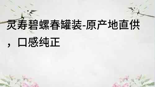 靈壽碧螺春罐裝-原產(chǎn)地直供，口感純正