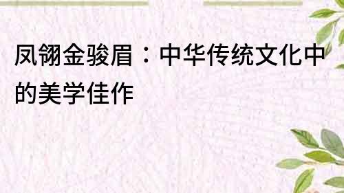 鳳翎金駿眉：中華傳統(tǒng)文化中的美學(xué)佳作