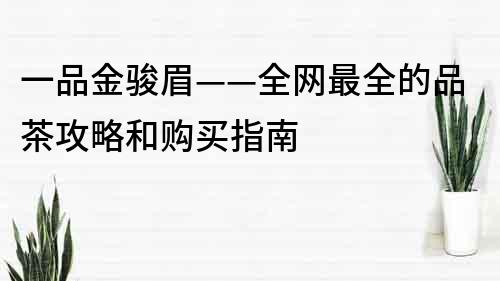 一品金駿眉——全網(wǎng)最全的品茶攻略和購買指南