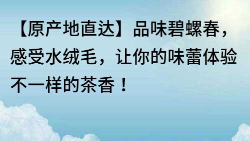【原產地直達】品味碧螺春，感受水絨毛，讓你的味蕾體驗不一樣的茶香！
