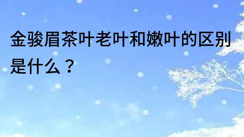 金駿眉茶葉老葉和嫩葉的區別是什么？