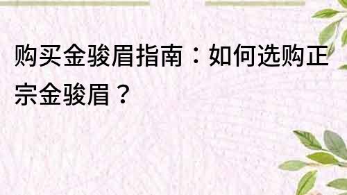 購買金駿眉指南：如何選購正宗金駿眉？