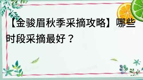【金駿眉秋季采摘攻略】哪些時段采摘最好？