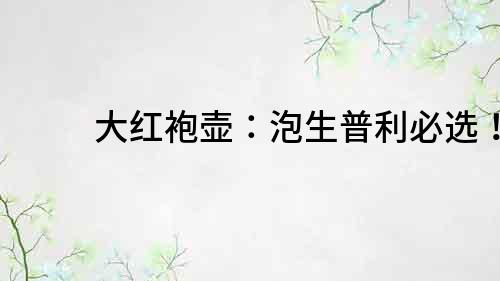 大紅袍壺：泡生普利必選！