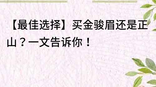【最佳選擇】買金駿眉還是正山？一文告訴你！