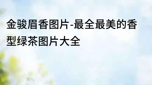 金駿眉香圖片-最全最美的香型綠茶圖片大全
