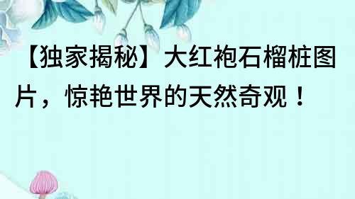 【獨家揭秘】大紅袍石榴樁圖片，驚艷世界的天然奇觀！