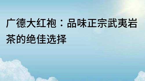 廣德大紅袍：品味正宗武夷巖茶的絕佳選擇