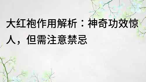 大紅袍作用解析：神奇功效驚人，但需注意禁忌