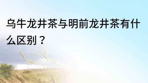 烏牛龍井茶與明前龍井茶有什么區(qū)別？