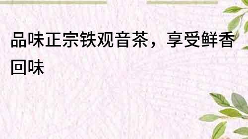 品味正宗鐵觀音茶，享受鮮香回味