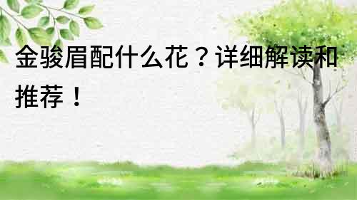 金駿眉配什么花？詳細解讀和推薦！