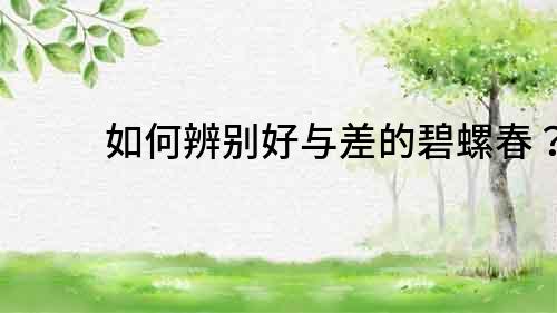 如何辨別好與差的碧螺春？