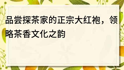 品嘗探茶家的正宗大紅袍，領略茶香文化之韻