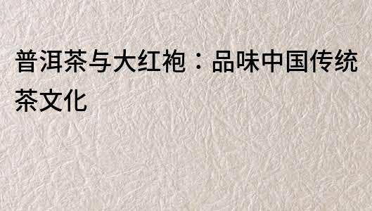 普洱茶與大紅袍：品味中國傳統茶文化