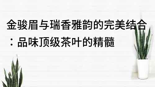 金駿眉與瑞香雅韻的完美結合：品味頂級茶葉的精髓