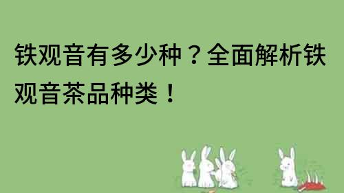 鐵觀音有多少種？全面解析鐵觀音茶品種類！