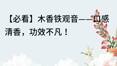 【必看】木香鐵觀音——口感清香，功效不凡！
