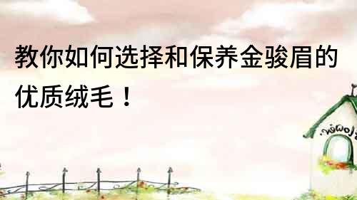 教你如何選擇和保養金駿眉的優質絨毛！