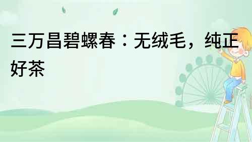 三萬昌碧螺春：無絨毛，純正好茶