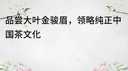 品嘗大葉金駿眉，領(lǐng)略純正中國茶文化