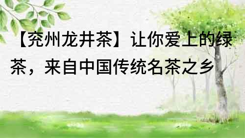【兗州龍井茶】讓你愛上的綠茶，來自中國傳統名茶之鄉