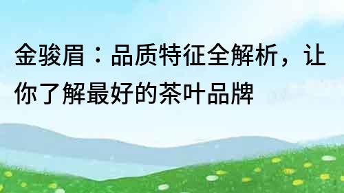 金駿眉：品質特征全解析，讓你了解最好的茶葉品牌