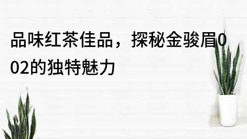 品味紅茶佳品，探秘金駿眉002的獨(dú)特魅力