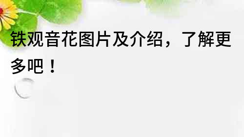 鐵觀音花圖片及介紹，了解更多吧！