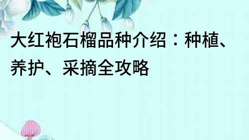 大紅袍石榴品種介紹：種植、養(yǎng)護、采摘全攻略