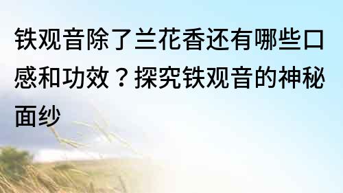 鐵觀音除了蘭花香還有哪些口感和功效？探究鐵觀音的神秘面紗