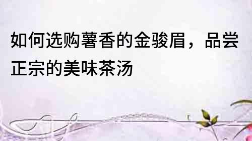 如何選購薯香的金駿眉，品嘗正宗的美味茶湯