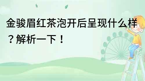 金駿眉紅茶泡開后呈現什么樣？解析一下！