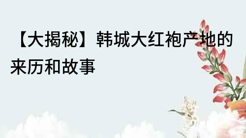 【大揭秘】韓城大紅袍產地的來歷和故事