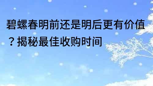 碧螺春明前還是明后更有價值？揭秘最佳收購時間