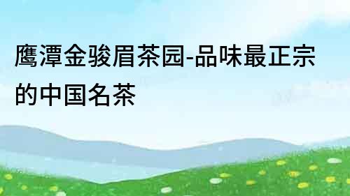 鷹潭金駿眉茶園-品味最正宗的中國名茶