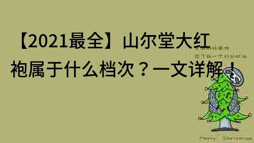 【2021最全】山爾堂大紅袍屬于什么檔次？一文詳解！