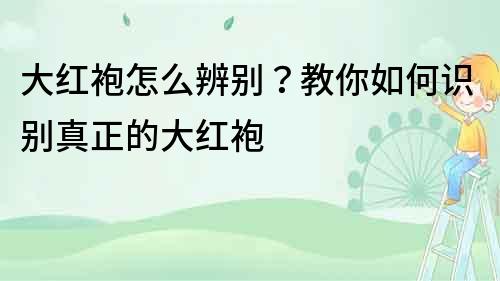 大紅袍怎么辨別？教你如何識別真正的大紅袍