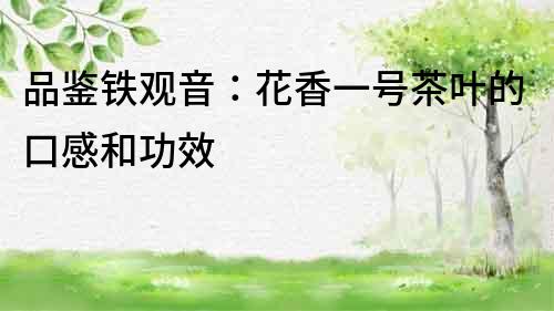 品鑒鐵觀音：花香一號茶葉的口感和功效