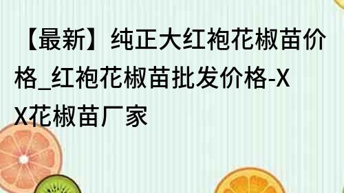 【最新】純正大紅袍花椒苗價格_紅袍花椒苗批發價格-XX花椒苗廠家